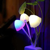 Rechargeable Multicolor LED Night Lamp - Perfect Small Night Light for Any Room